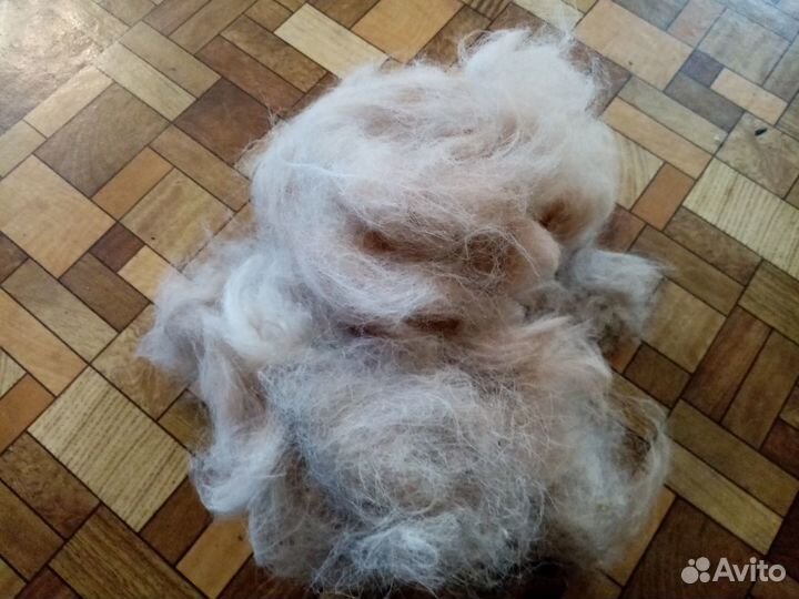 Собачья шерсть