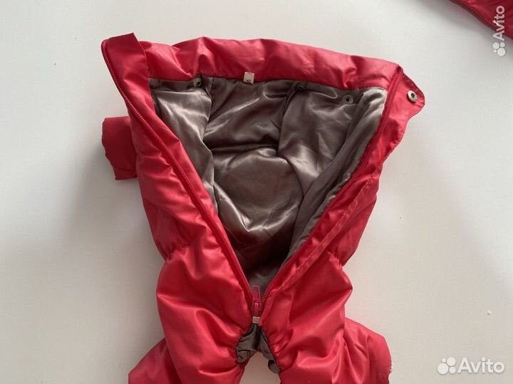 Одежда для собак