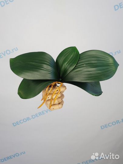 Реалистичные Листья орхидеи, силикон