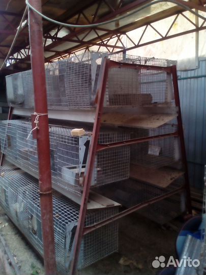 Клетки для бройлеров и кроликов