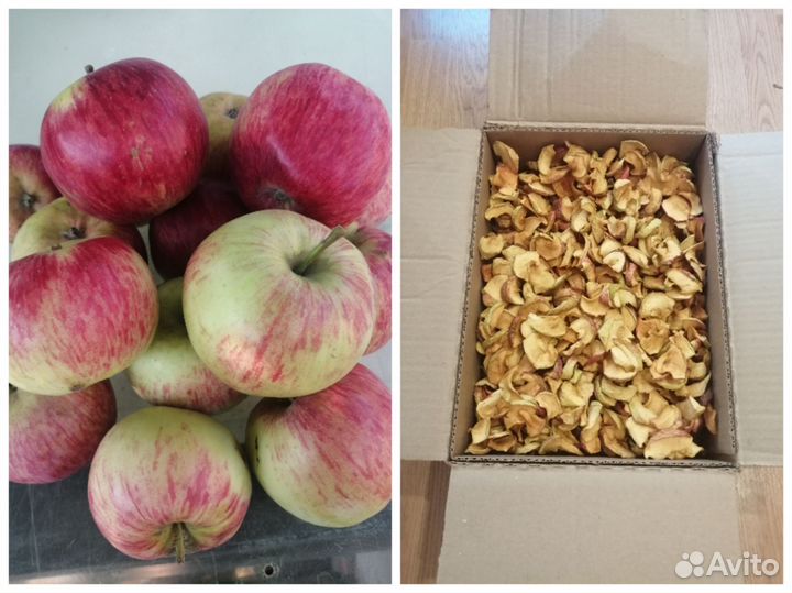 Яблоки