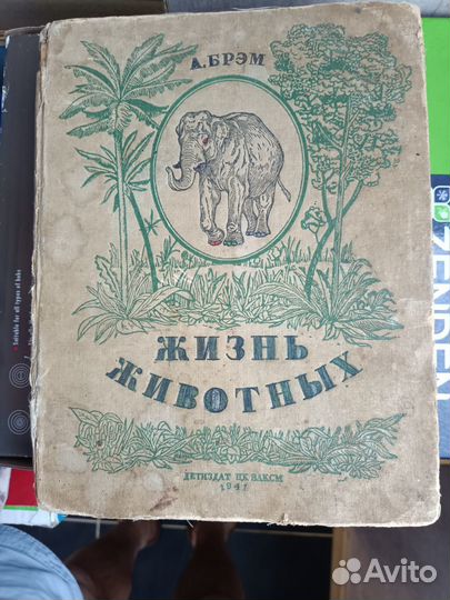Книги А. Брэм и Технология приготовления пищи