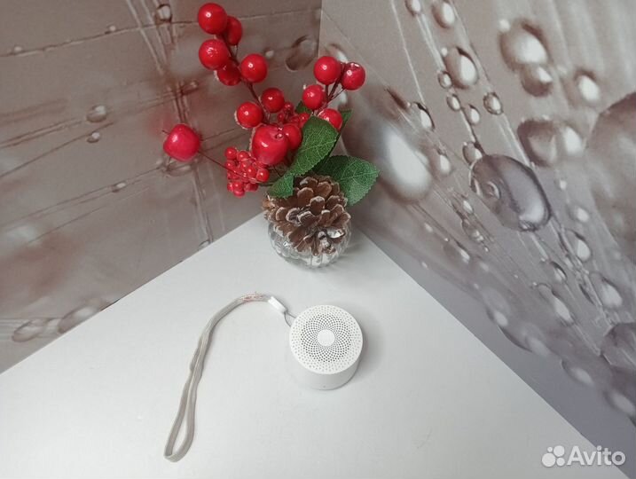 Колонка Xiaomi Mi Compact Bluetooth Speaker 2