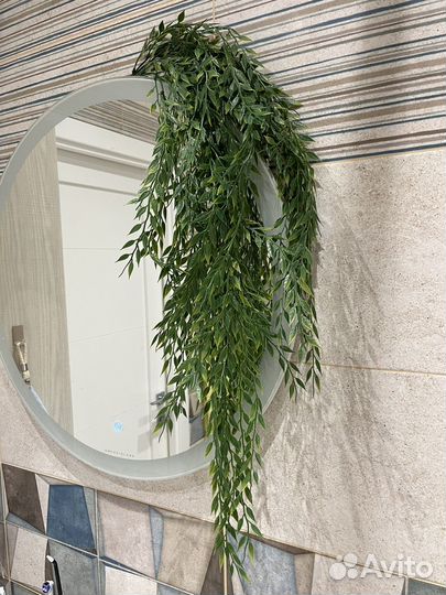 Интерьерная лиана (растение для декора)