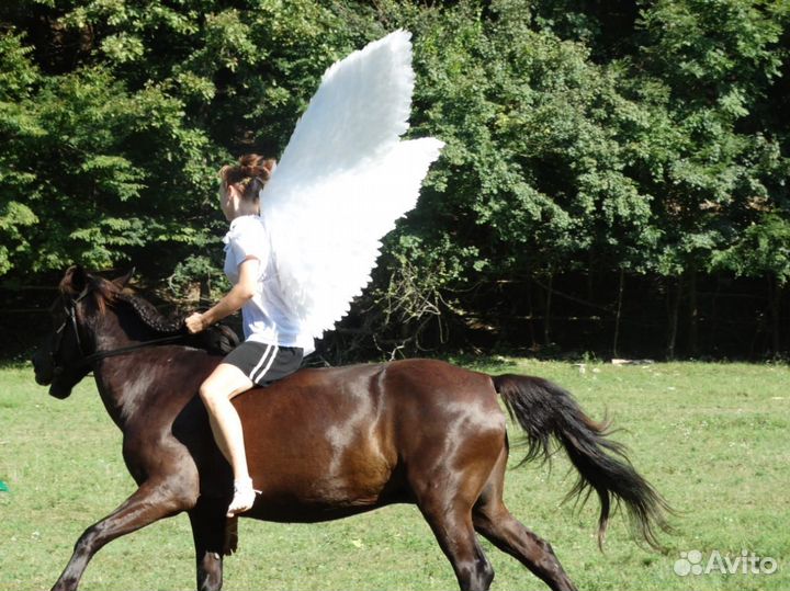 Крылья ангела