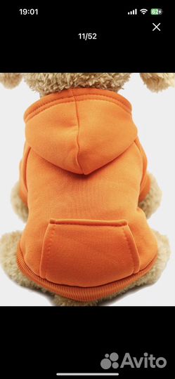 Одежда для маленьких собак