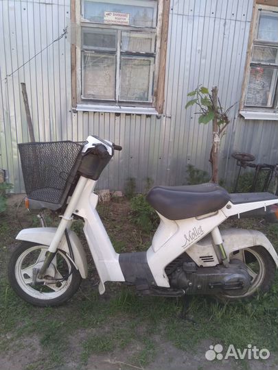 Скутер Suzuki Mollet