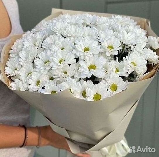 Хризантема Букеты с доставкой