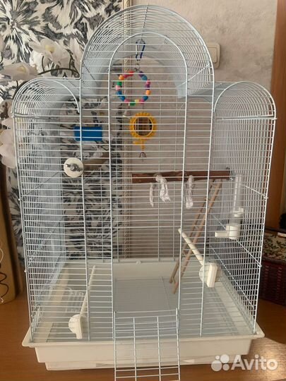 Клетка для попугая