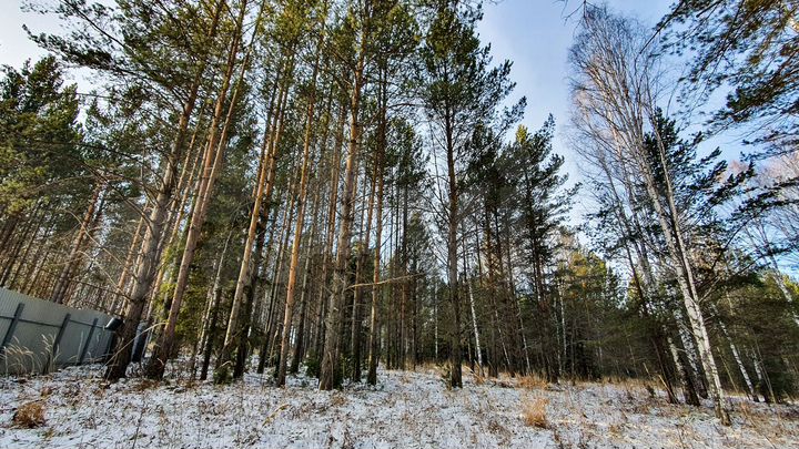 Участок 13 сот. (СНТ, ДНП)