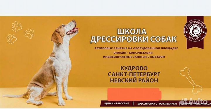 Дрессировка собак кинолог