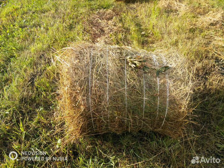 Сено в рулонах с доставкой,сено для животных,собак