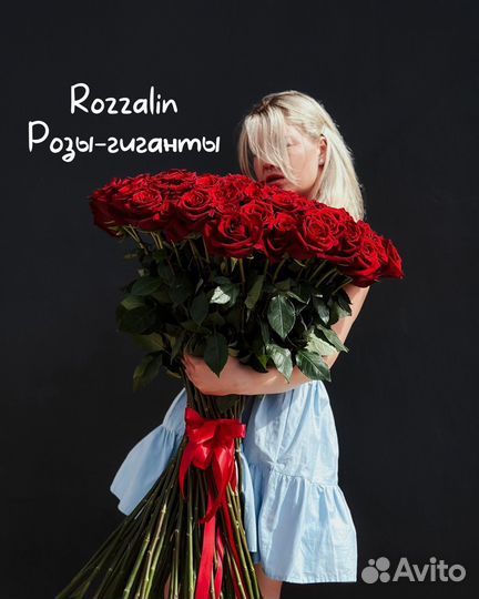 Метровые розы 101 роза 51 роза цветы