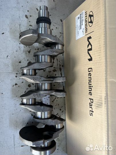 Коленвал 231102E510