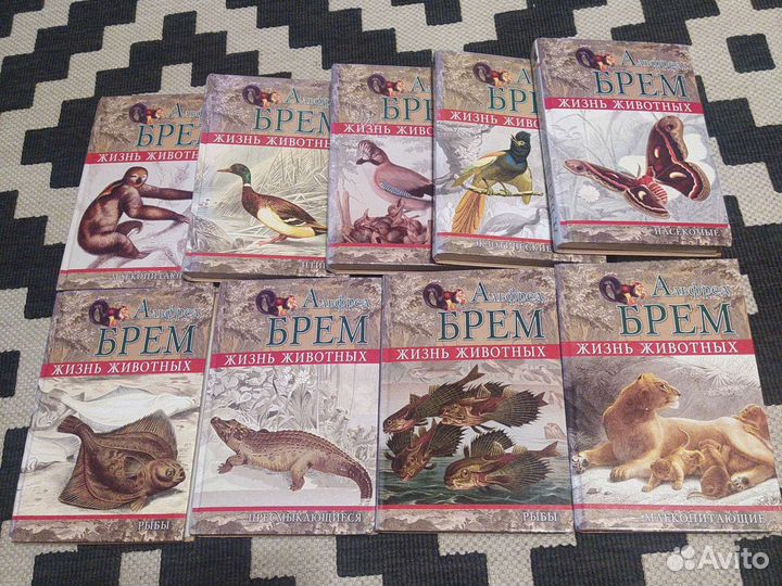 Книги о животных