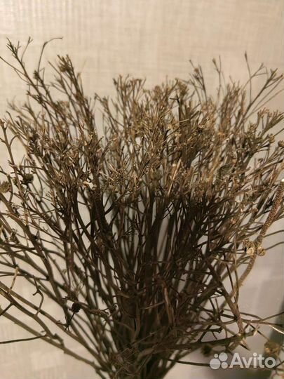 Метла реквизит для карнавального костюма