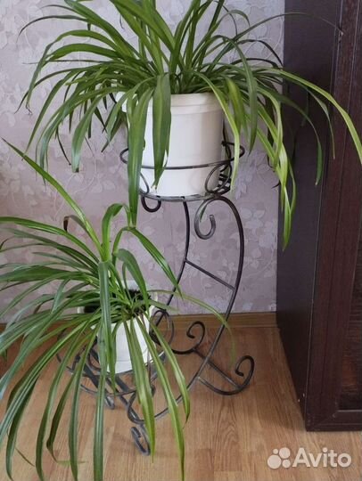 Подставка для цветов,ковка