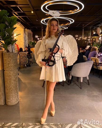 Скрипачка/певица