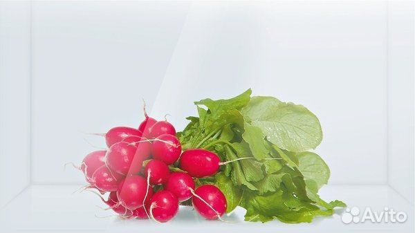 Холодильник Bosch KGN 49SQ21R Новый