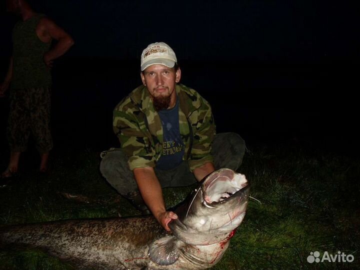 Квок,рыбалка на сома