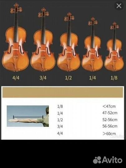 Аренда скрипки (музыкального инструмента)