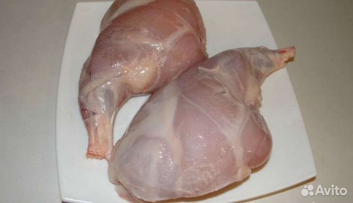 Мясо кролика