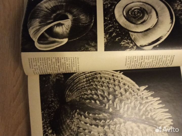 Иллюстрированная энциклопедия животных