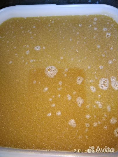 Мёд - Дягиль,Акация,Горный мëд. Перга. Пчеломатки