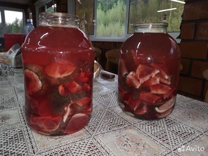 Мясо лося, Панты