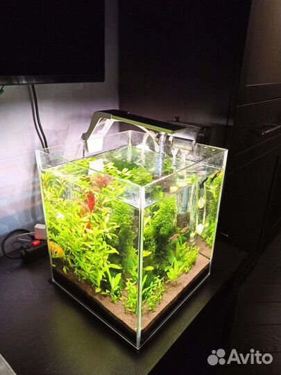 Аквариум