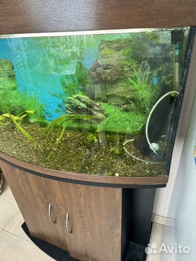 Аквариум с тумбой