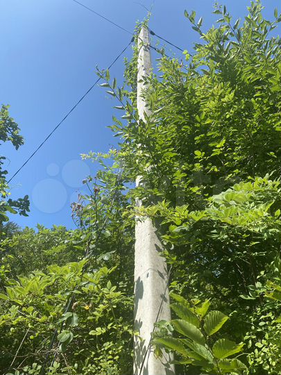 Участок 6 сот. (СНТ, ДНП)