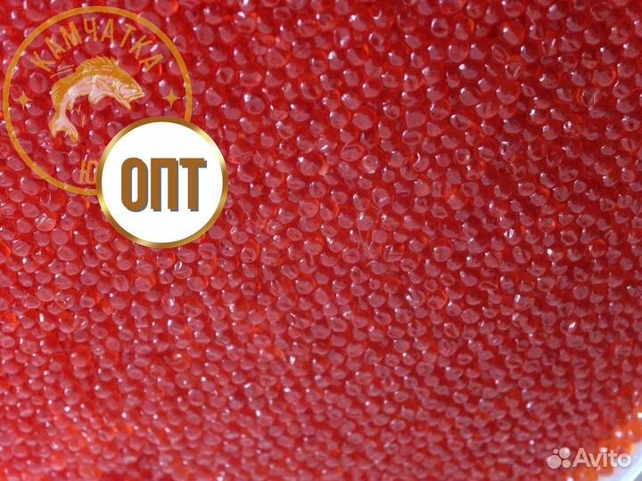 Икра кеты Оптом