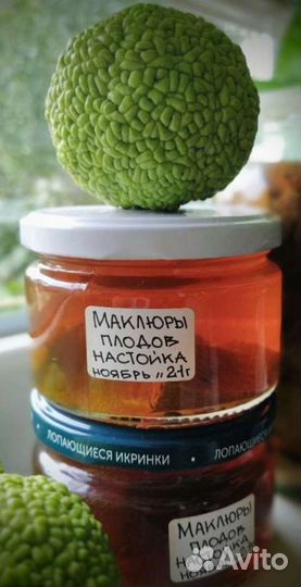 Маклюра