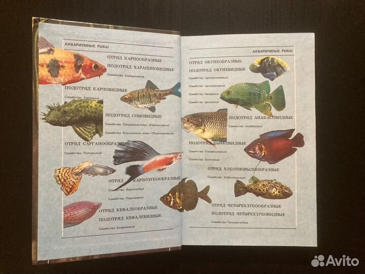 Книга Содержание и разведение аквариумных рыб