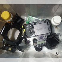 olympus e3 - Купить фототехнику во всех регионах с доставкой olympus e3 - Купить фототехнику во всех регионах с доставкой