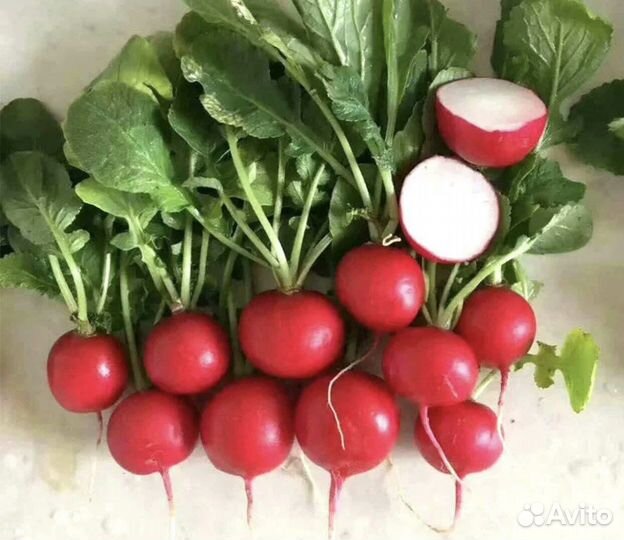 Семена домашних овощей