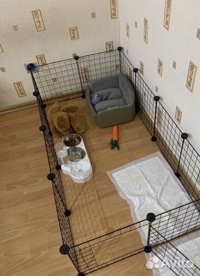 Вольер/клетка для щенков/собак 12 секций