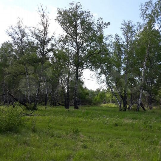 Участок 34,6 сот. (СНТ, ДНП)