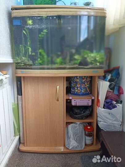 Аквариум Jebo