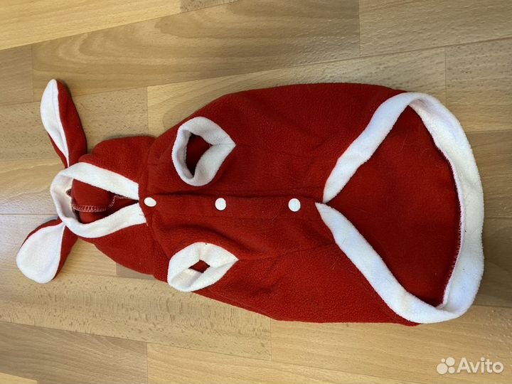 Одежда для кошек и собак