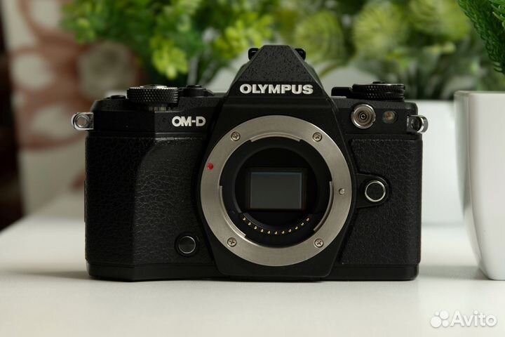 Olympus OM-D E-M5 Mark II Kit