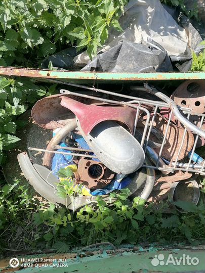 Ява старушка