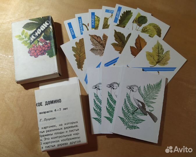 Ботаническое домино кцп 1991