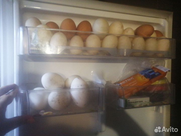 Утиные яйца