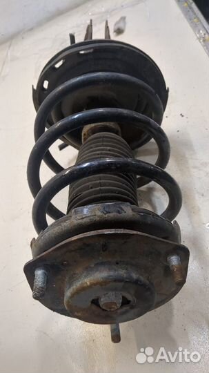 Амортизатор подвески правый передний Toyota Camry V40, 2009