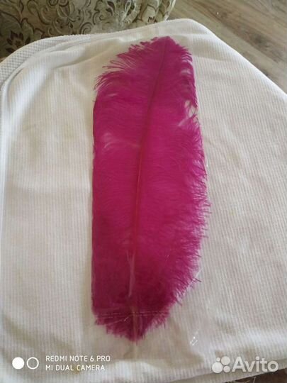 Перо страуса цвета разные