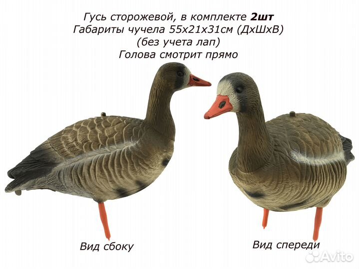 Чучела белолобых гусей для охоты 10 штук комплект