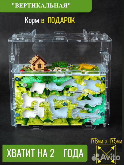 Муравьиная ферма вертикальная Формикарий с гипсом