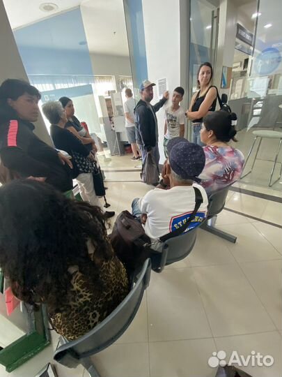 Помощь в получении гражданства Аргентины